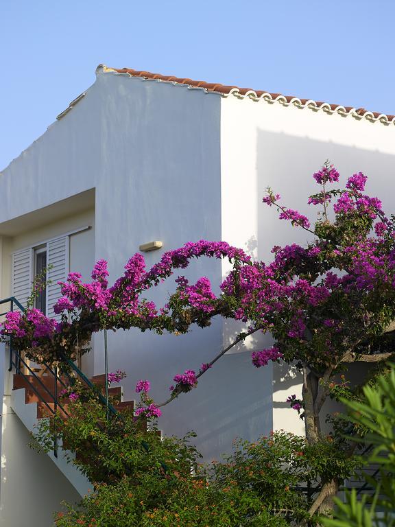 Mousses Apartments & Studios Киссамос Номер фото